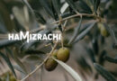 HaMizrachi – World Mizrachi